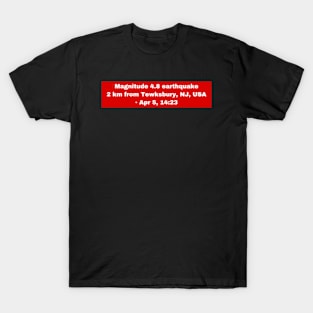 I Survived The Nyc Earthquake 2024 T-Shirt